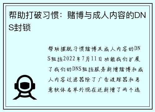 帮助打破习惯：赌博与成人内容的DNS封锁 