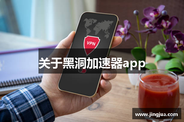 关于黑洞加速器app